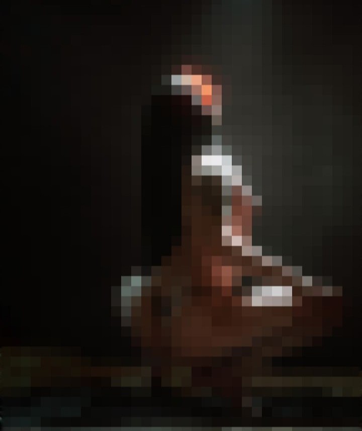 a censored image of bex in a nun habit
