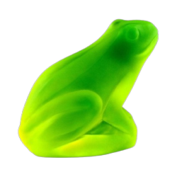 glass frog